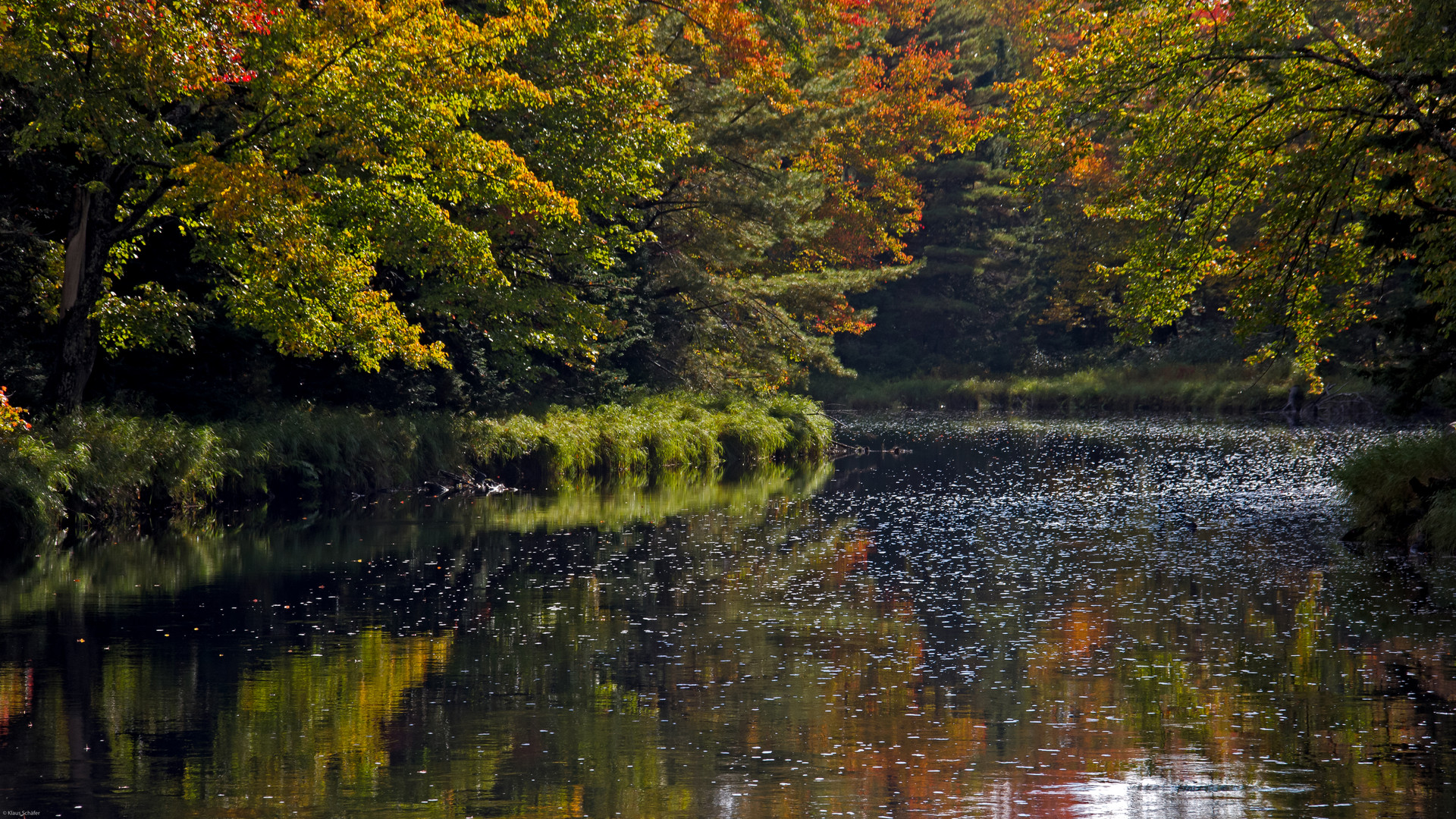 Kejimkujik Nationalpark (1)