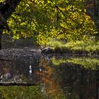 Kejimkujik Nationalpark (2)