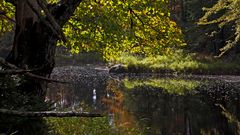 Kejimkujik Nationalpark (2)