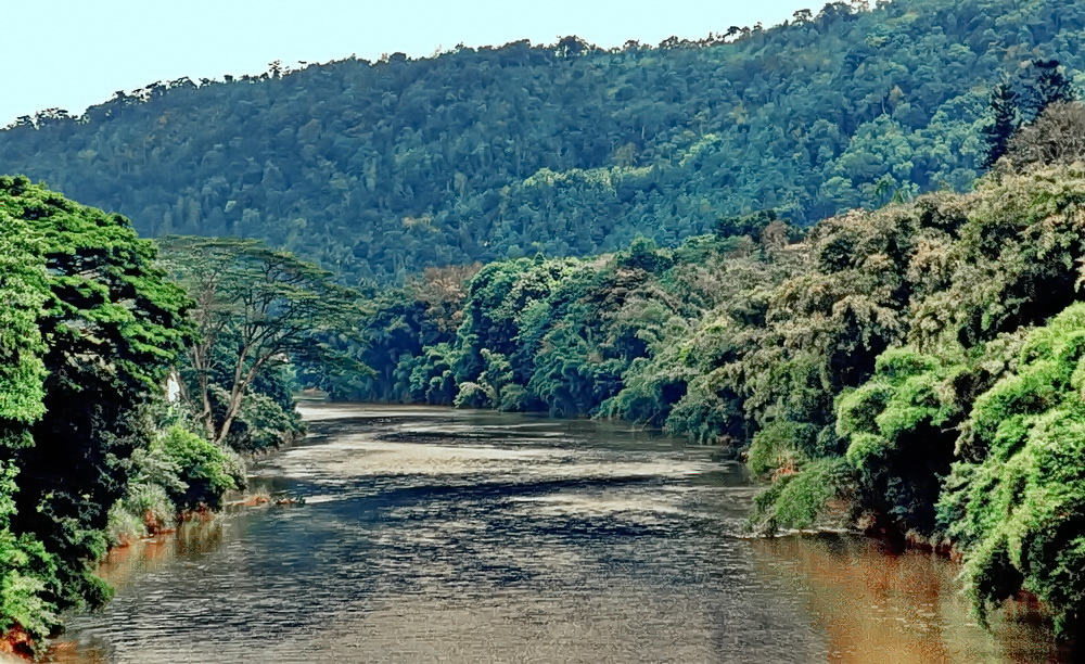 Kelani River, Sri Lanka (Die Brücke am Kwai)