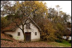 Kellergasse am Zeiselberg... (2)