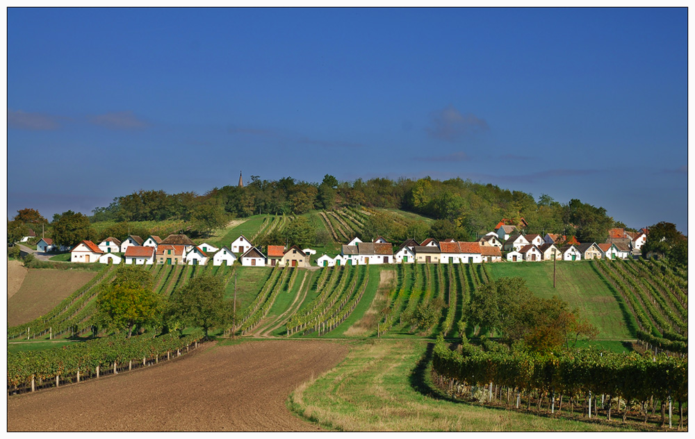 Kellergasse Galgenberg