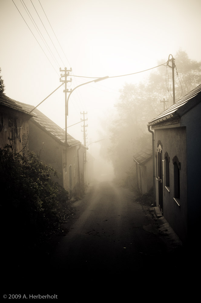 Kellergasse im Morgennebel