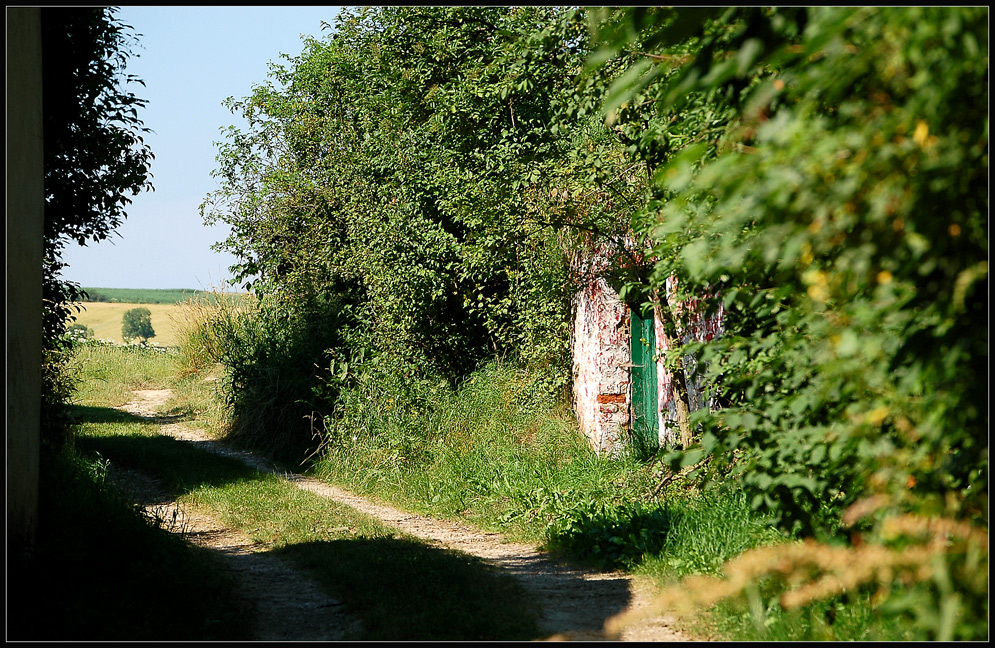 Kellergasse in Großmugl *2*