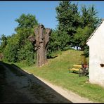 Kellergasse in Großmugl