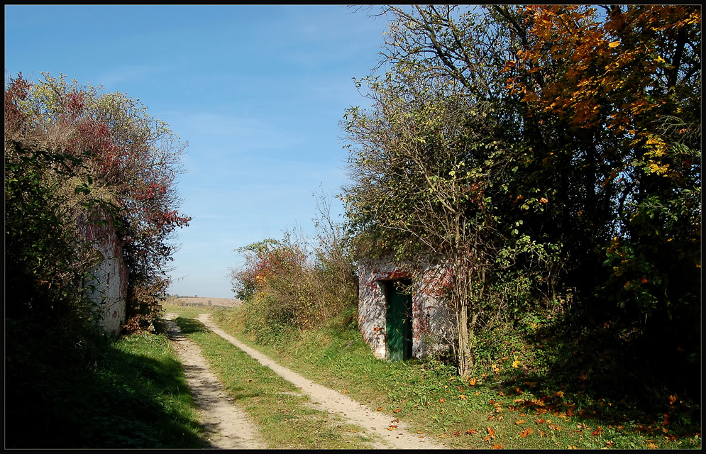 Kellergasse in Großmugl - Herbst *2*