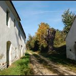 Kellergasse in Großmugl - Herbst