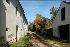 Kellergasse in Großmugl - Herbst