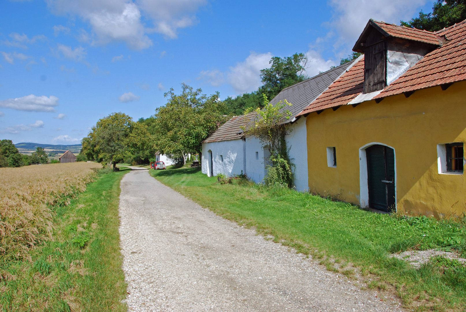 Kellergasse in Seebarn