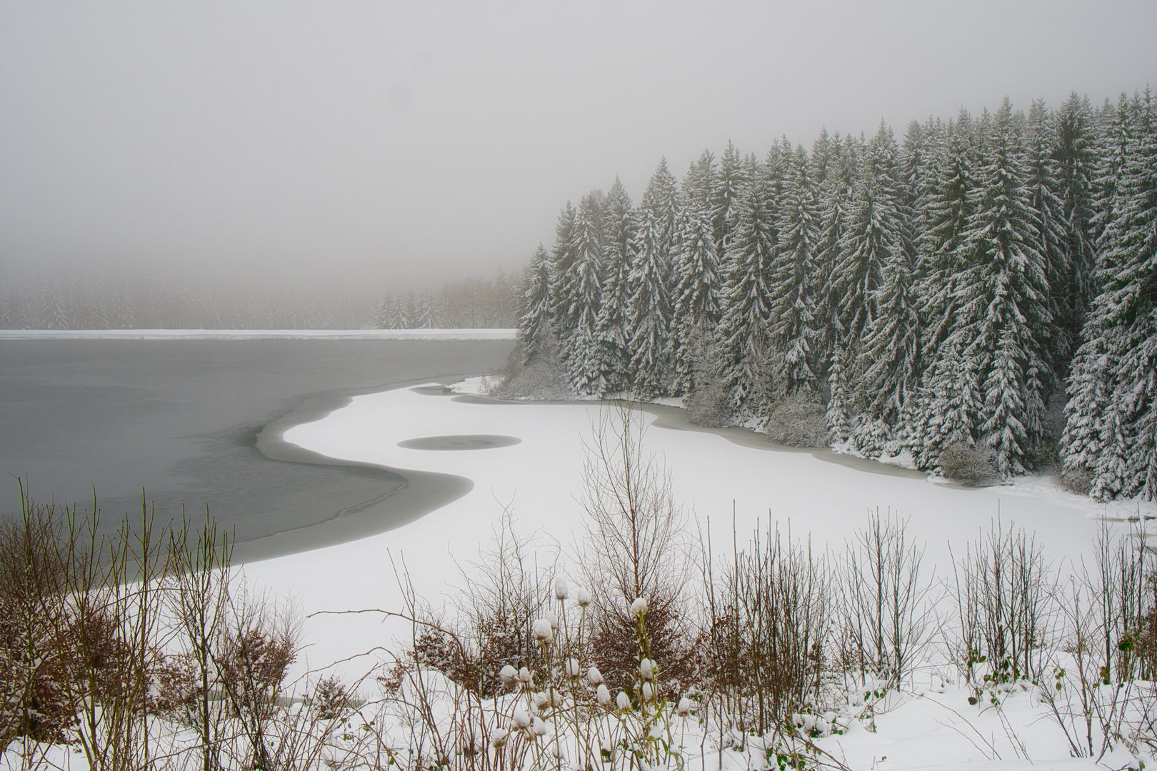 Kellerhalsteich im Winter