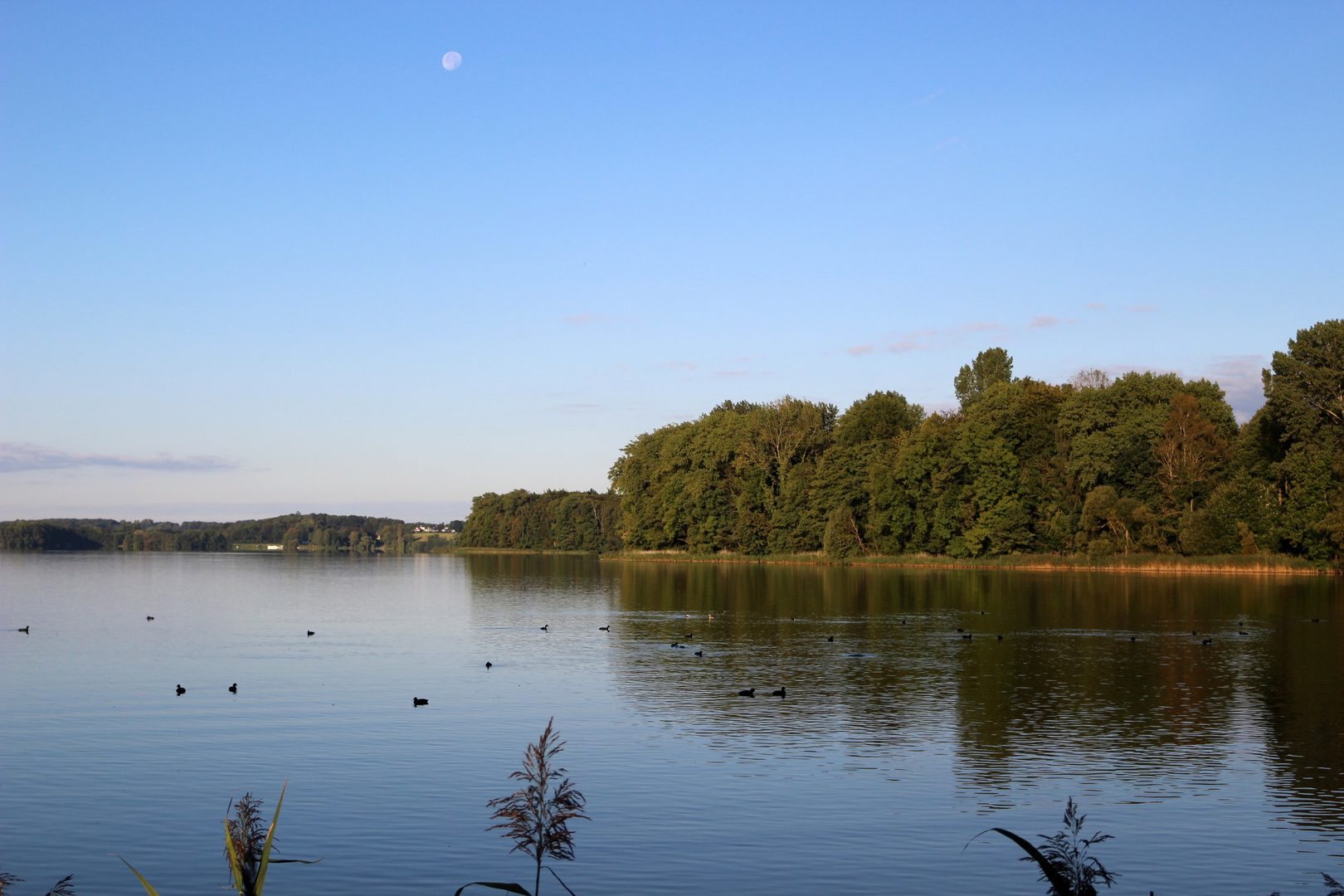 Kellersee