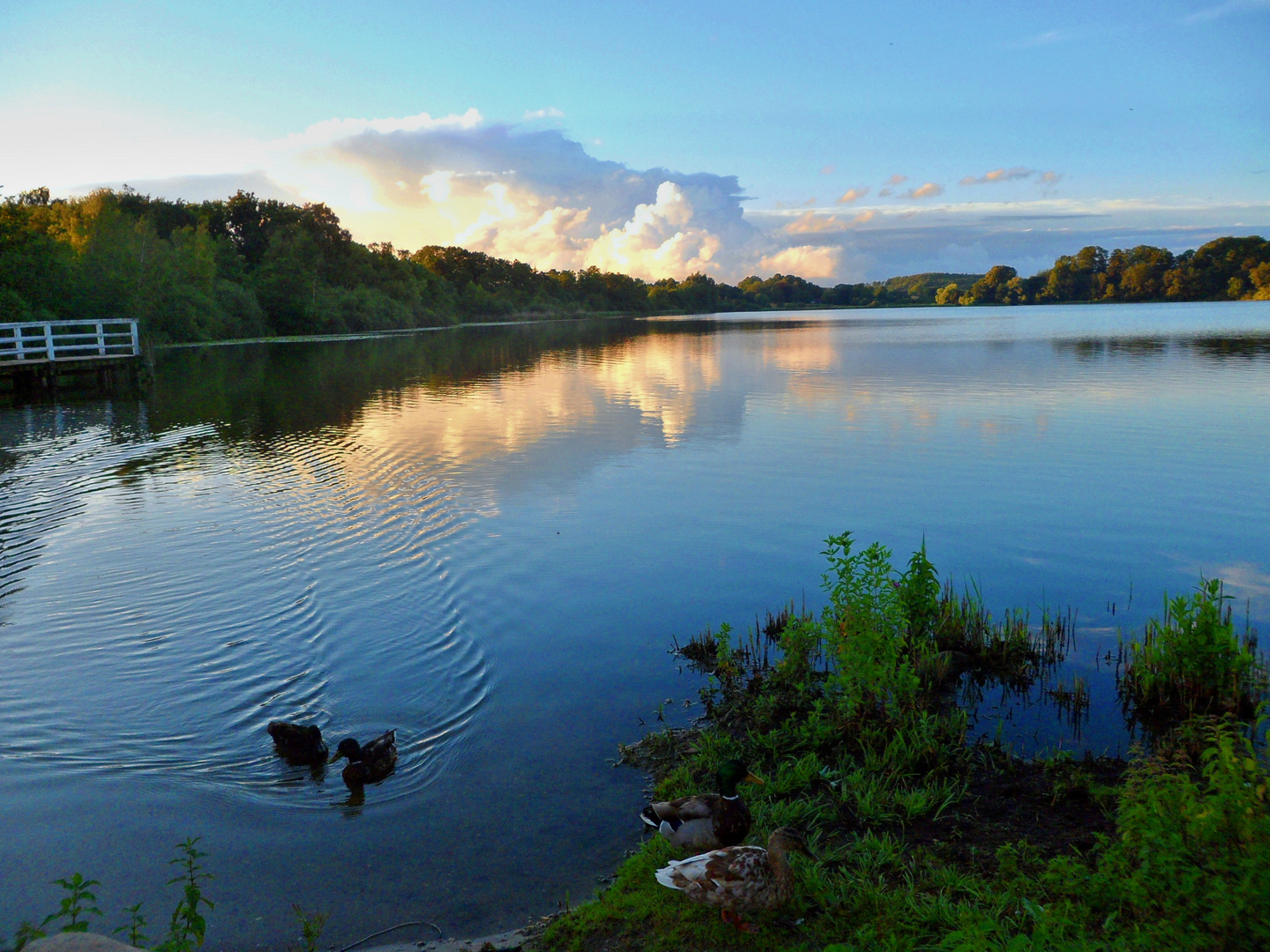 Kellersee im Sommer