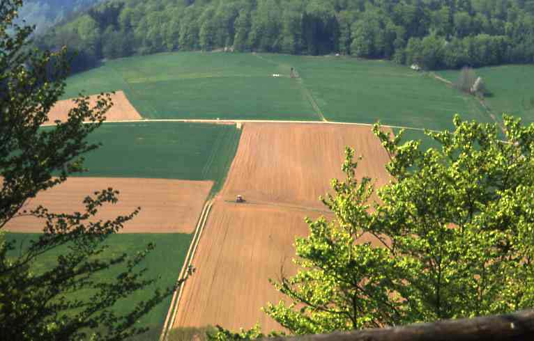 Kellerwald