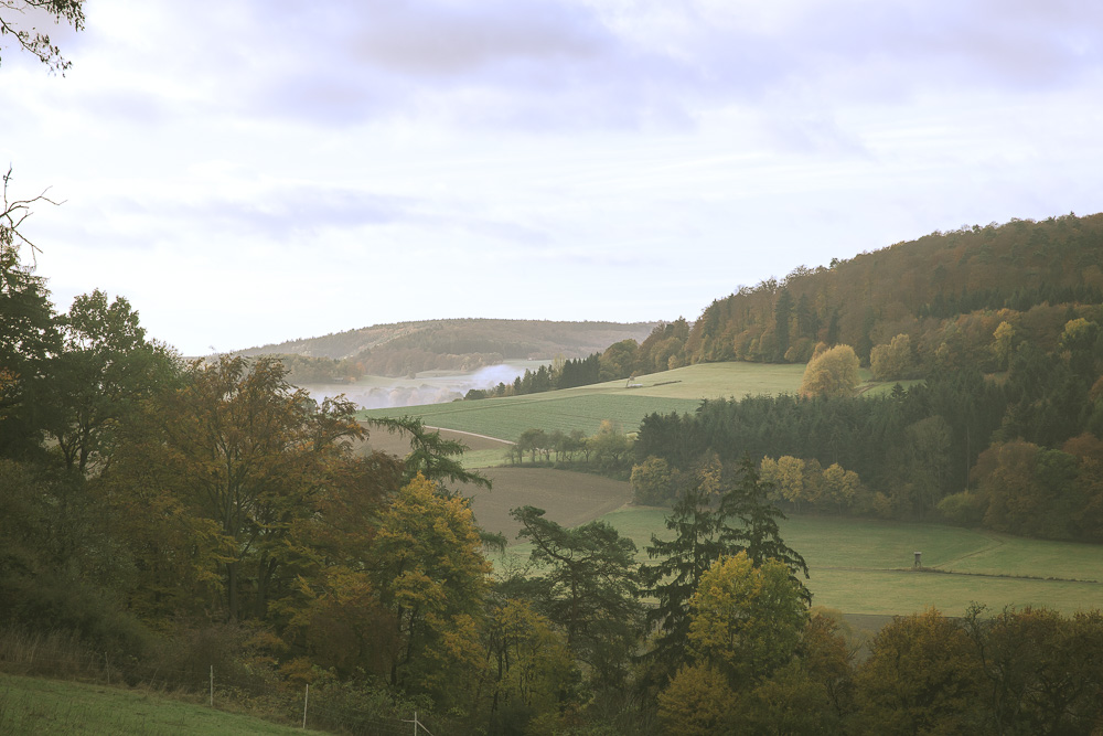 Kellerwald mit Nebel