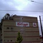 kelloog's