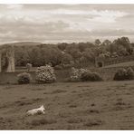 Kells Priory #1