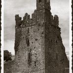 Kells Priory #3