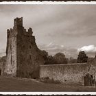 Kells Priory #4