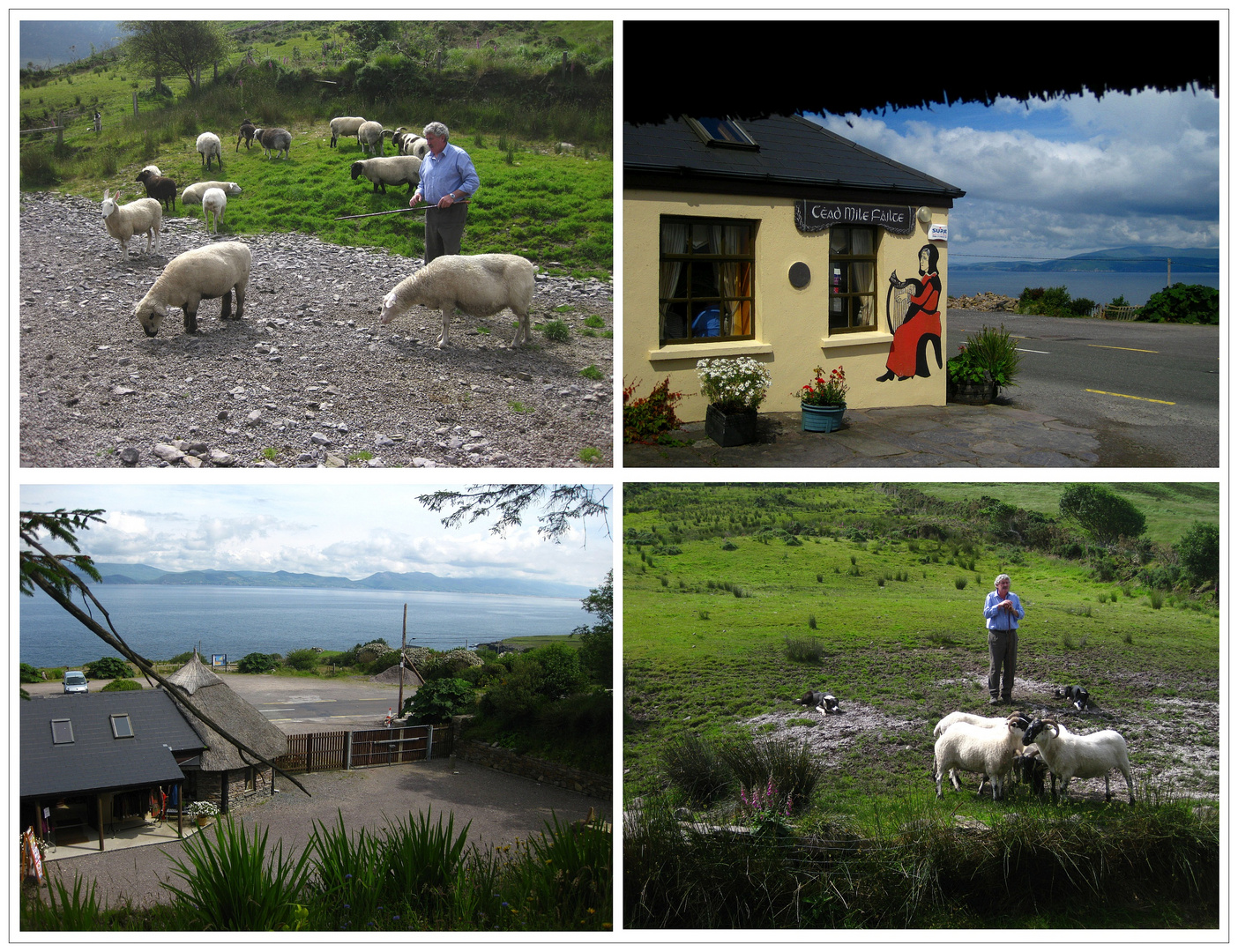 Kells Schaffarm am Ring of Kerry