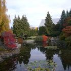 Kelowna`s Japanese Garden