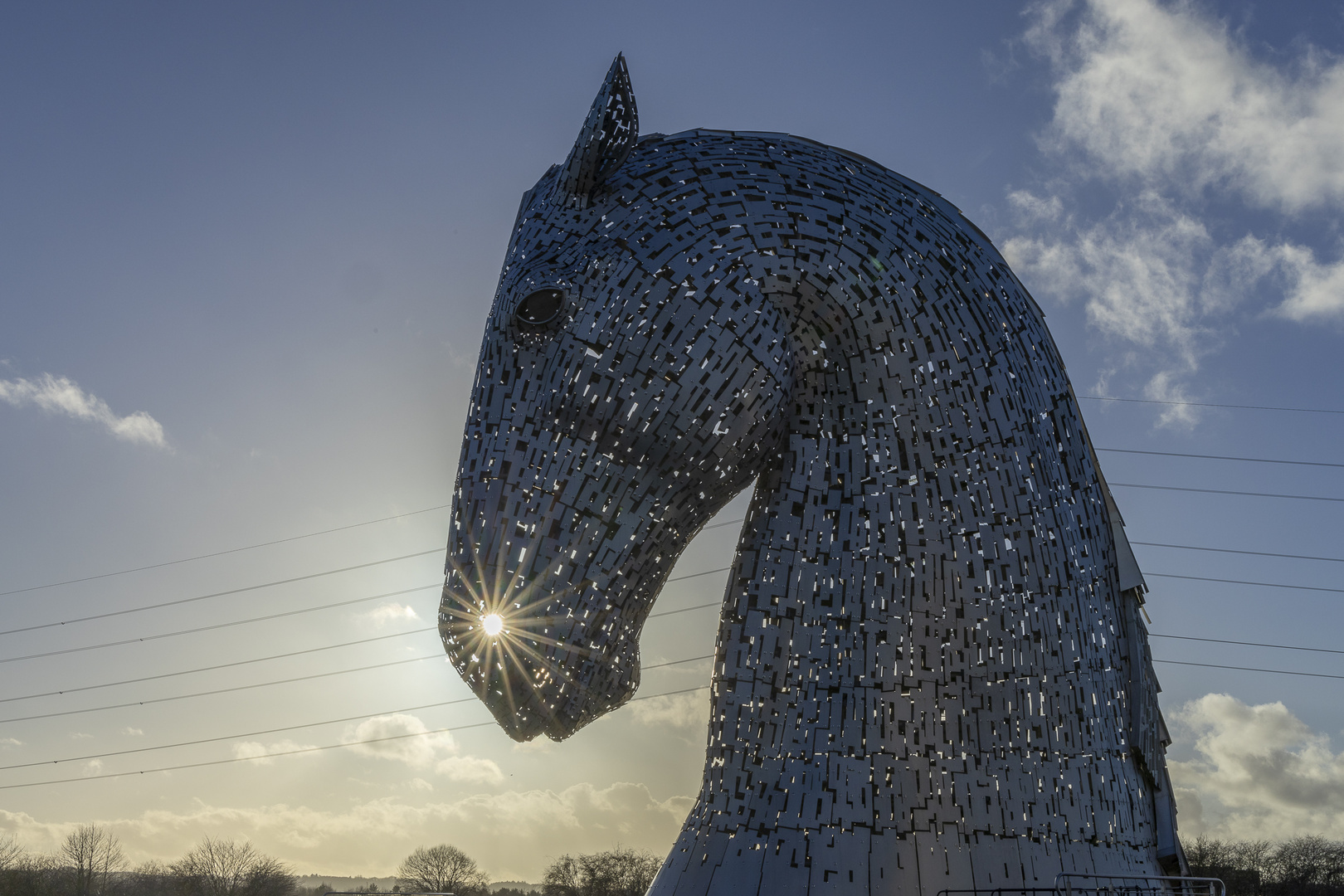 Kelpie...