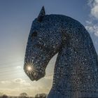 Kelpie...