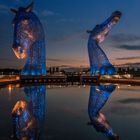 *Kelpies*