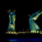 Kelpies bei Nacht *