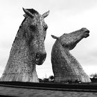 Kelpies SW