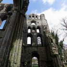 Kelso Abbey II