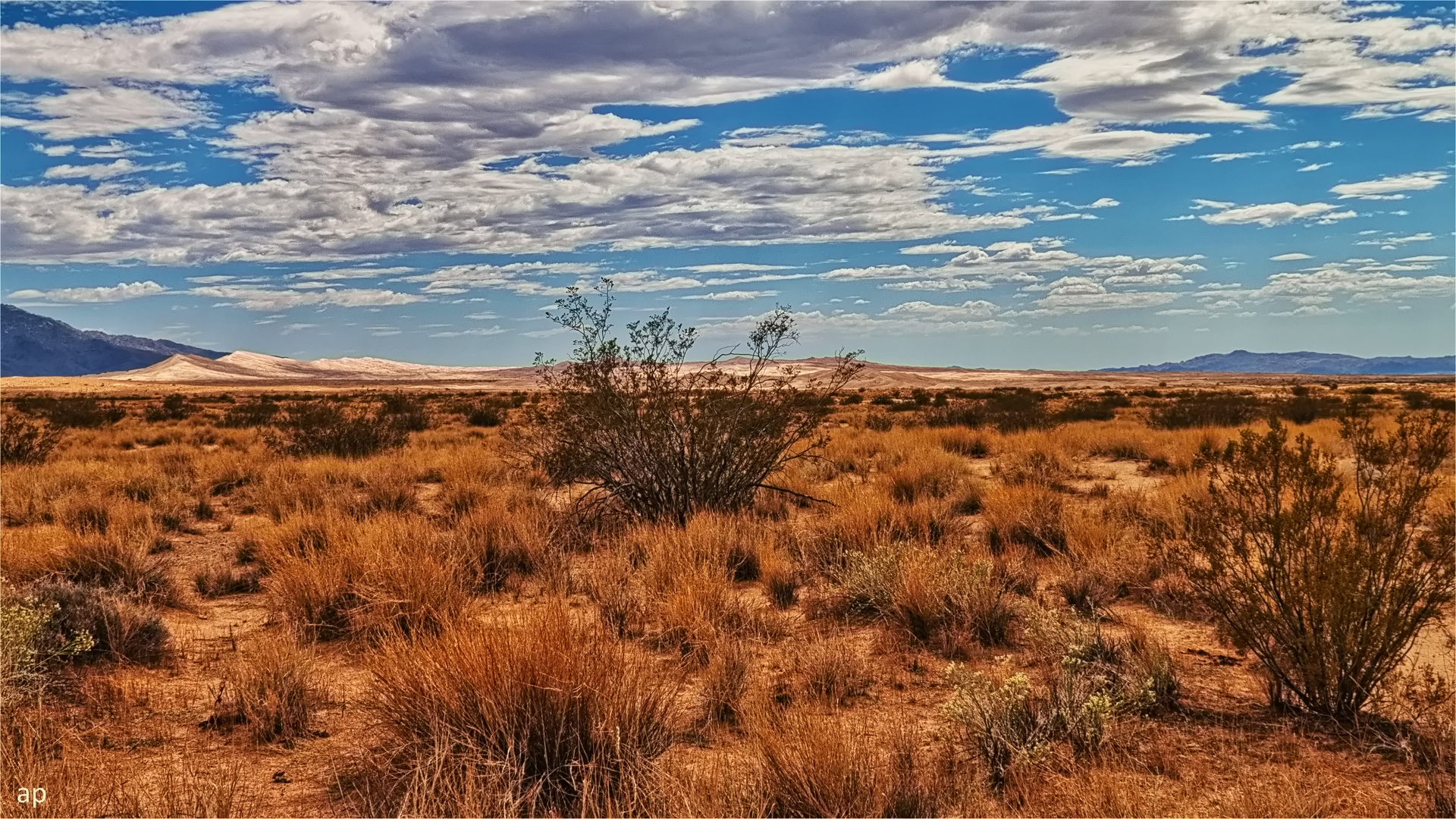 Kelso Sand Dunes