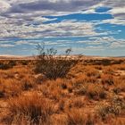 Kelso Sand Dunes