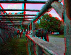 Keltentheke 1 (3D-Anaglyphe)