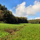 Kelterberger Bachtal bei Hambach bei Görgeshausen