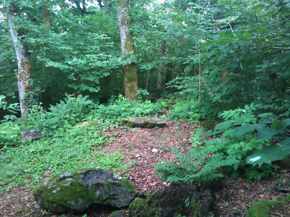 Keltische Kultstätte in Gabreta (Bayerischer Wald) von Andreas M. Neumann 