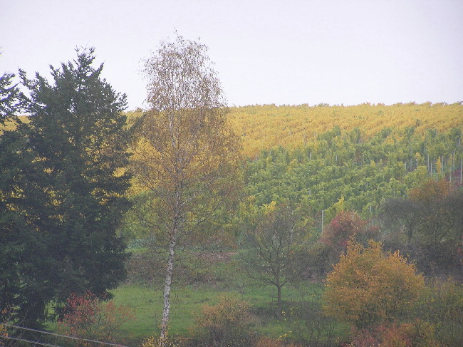 Kembacher Sonnenberg