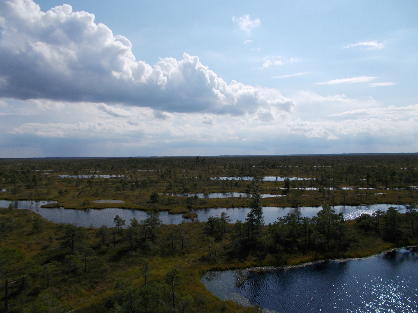 Kemeri Nationalpark