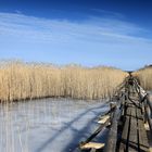 Kemeri-Nationalpark in Lettland