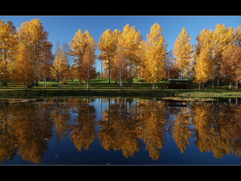 Kemijärvi_Der_Park_zur_Ruska