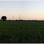 Kempen im Abendrot "Panorama"