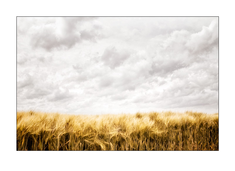 Kempen | Korn & Wolken, Kempen (Linker Niederrhein)