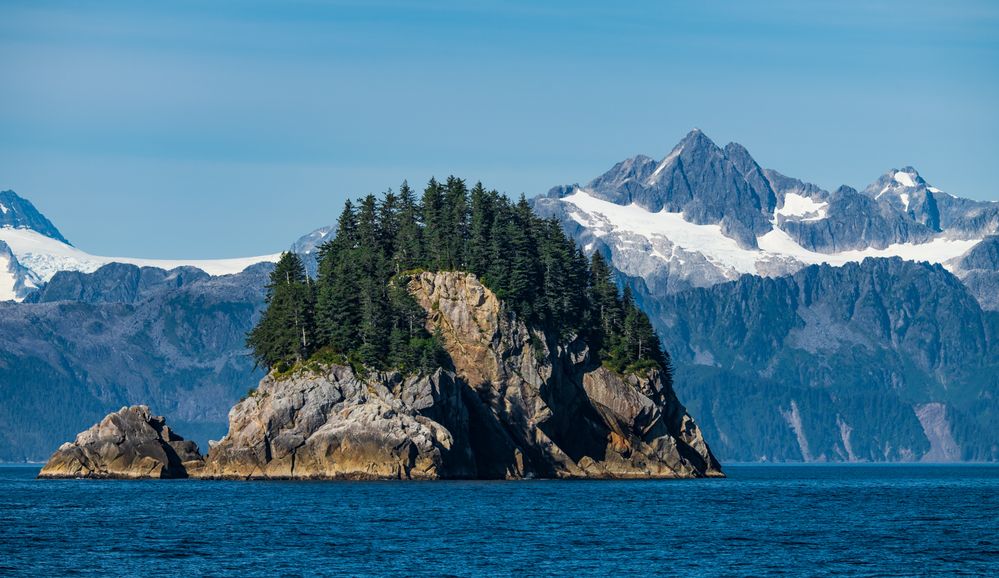 Kenai Fjords Cruise