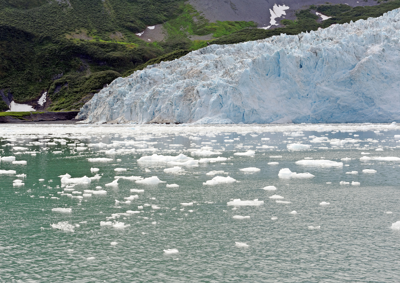 Kenai Fjords National Park Alaska