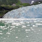 Kenai Fjords National Park Alaska