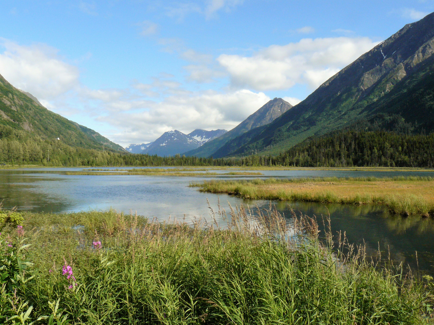 Kenai Halbinsel