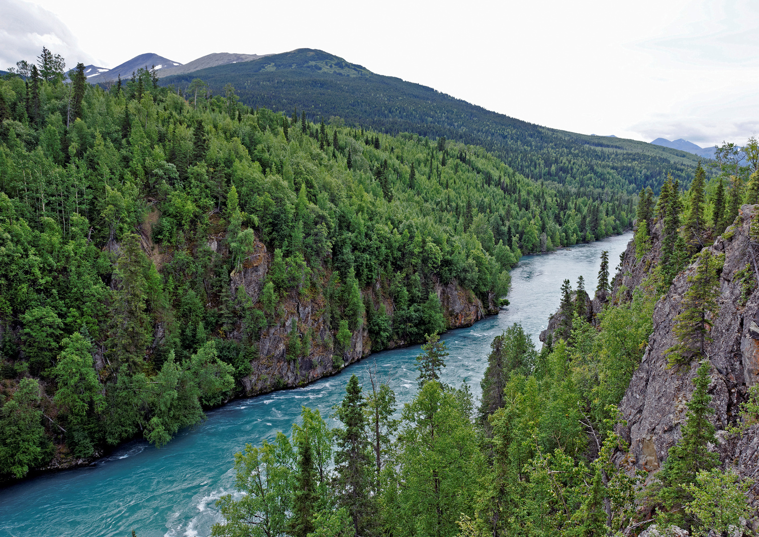 Kenai River Trail Alaska photo et image nature, montagne, arbres