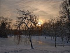 Kendenicher Weiher im Schnee