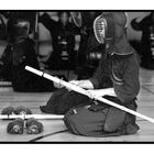 Kendo 6