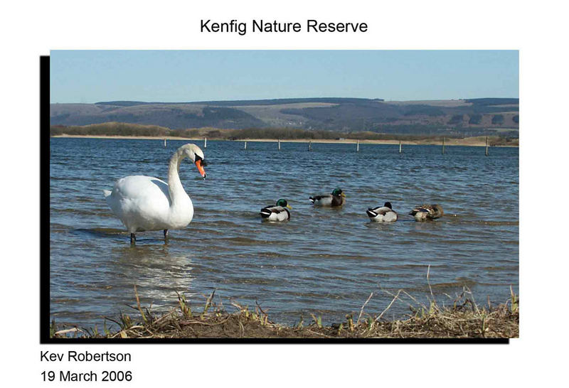 Kenfig Nature Reserve - South Wales - UK