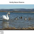 Kenfig Nature Reserve - South Wales - UK